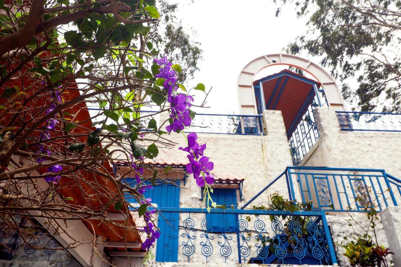 Hotel Greek Glory 판치가니 외부 사진